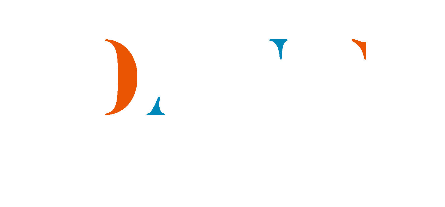 Danis Elektro Logo Footer